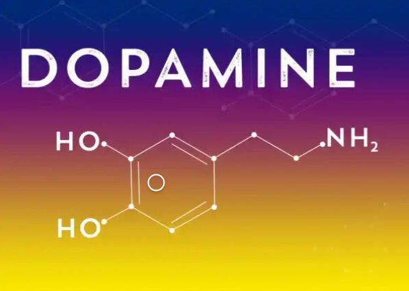 [Первая школа биохакинга] Дофаминомания, август 2023 (Ирина Баранова, Татьяна Смольянинова)